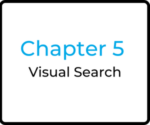 Chapter 5 Visual Search